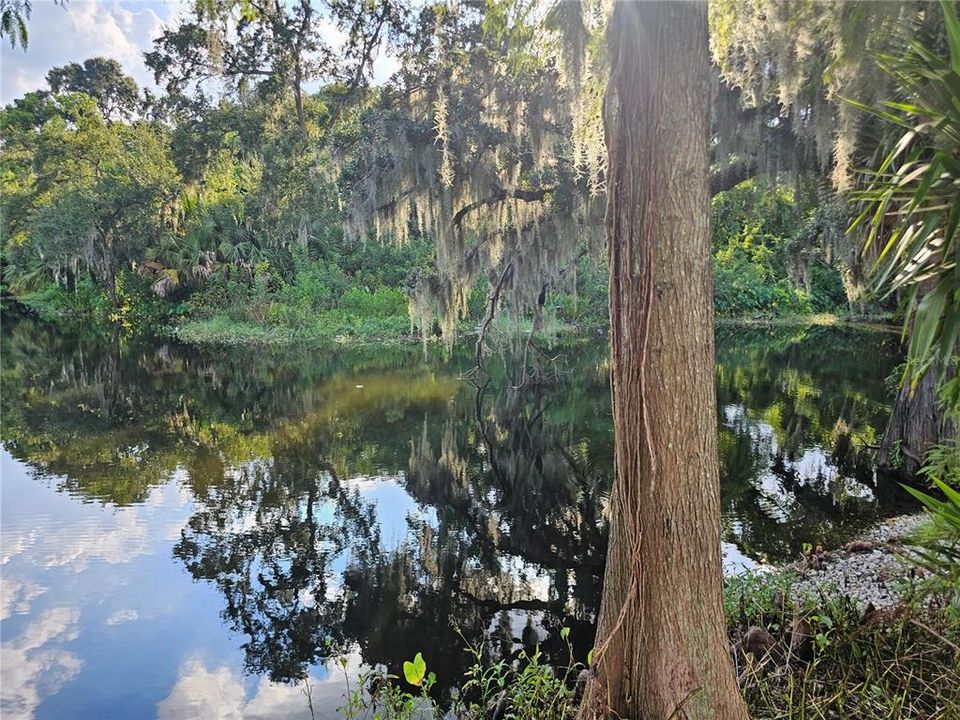 合同活跃: $144,080 (2 贝兹, 1 浴室, 959 平方英尺)