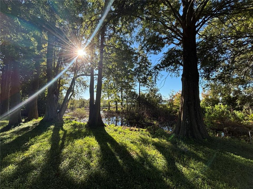 For Sale: $375,000 (3 beds, 3 baths, 1542 Square Feet)