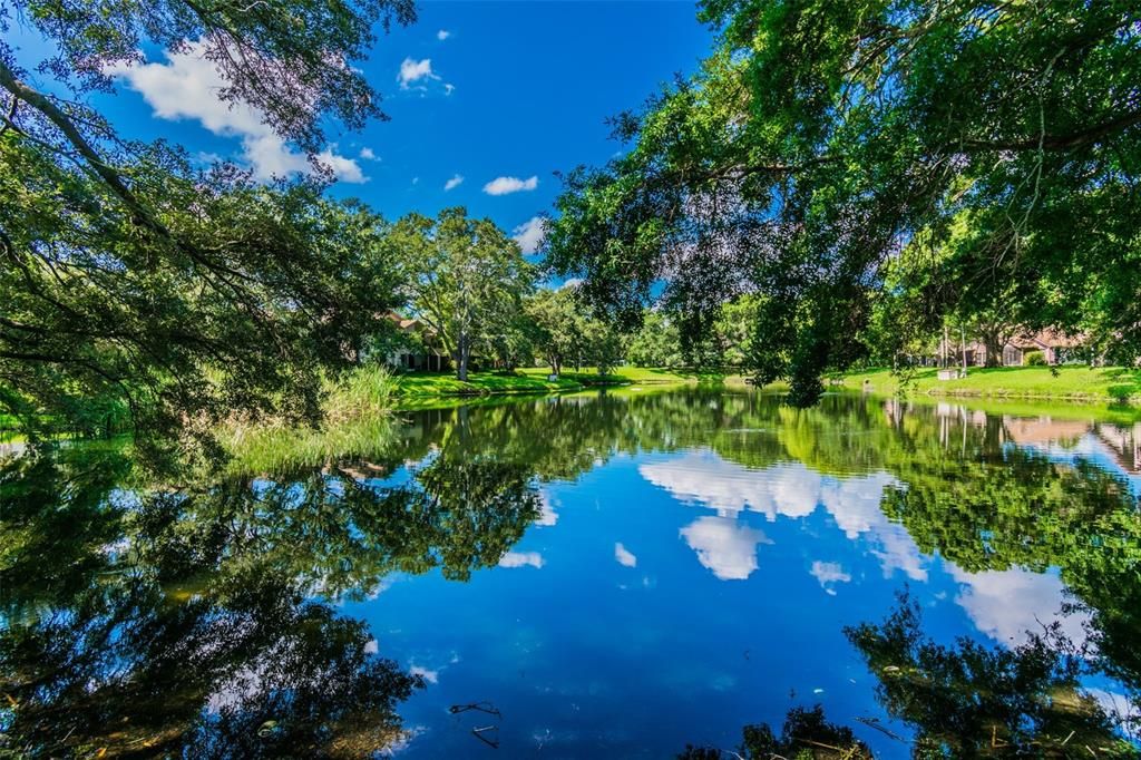 En Venta: $634,000 (4 camas, 2 baños, 1985 Pies cuadrados)