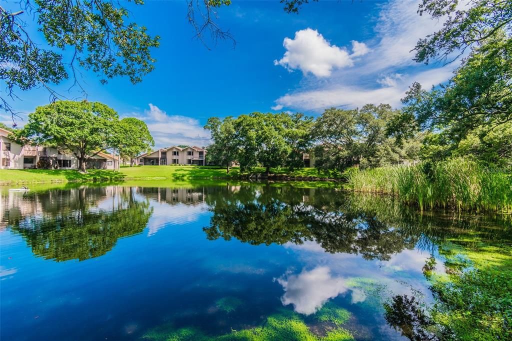 En Venta: $634,000 (4 camas, 2 baños, 1985 Pies cuadrados)