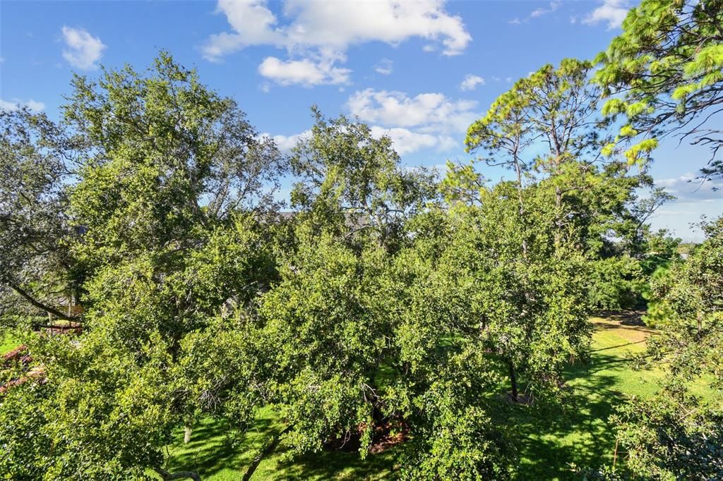 For Sale: $729,900 (2 beds, 2 baths, 1715 Square Feet)