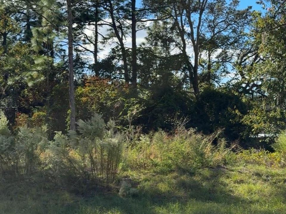 待售: $30,000 (0.23 acres)