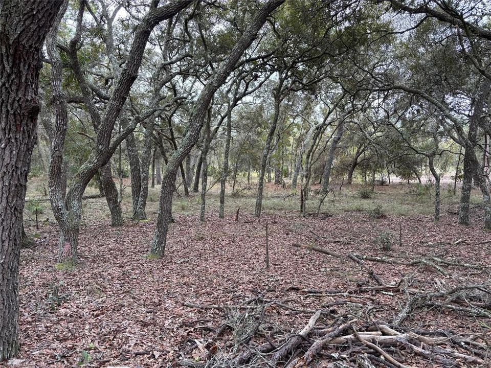 待售: $27,000 (1.25 acres)