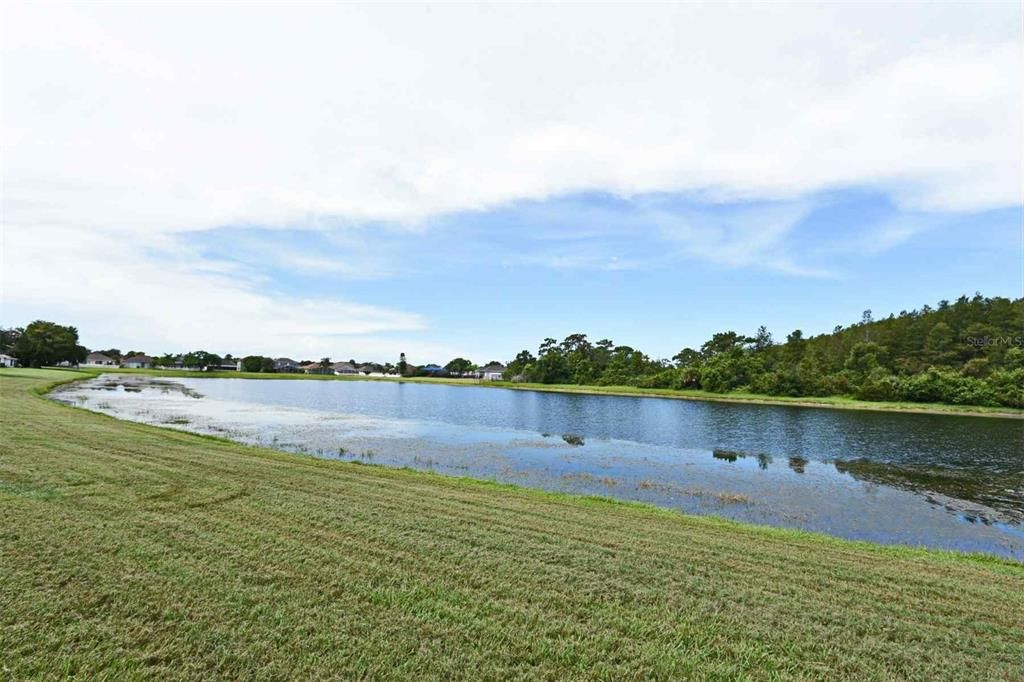 Под контрактом: $1,950 (3 спален, 2 ванн, 1370 Квадратных фут)