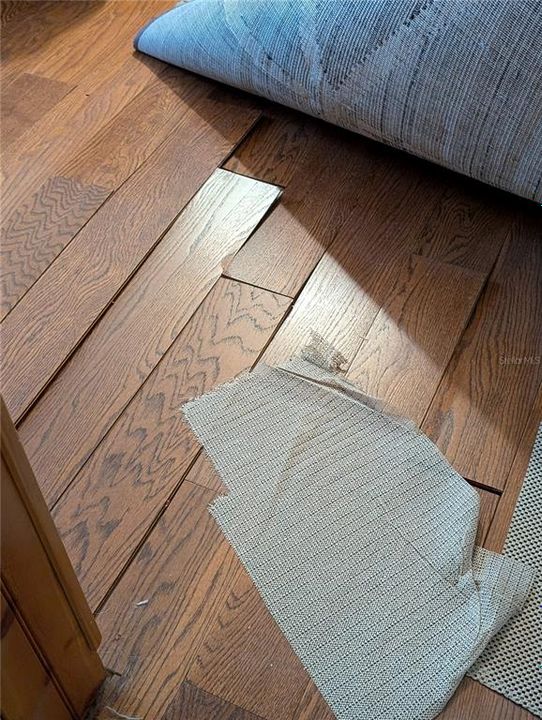 Active With Contract: $164,900 (5 beds, 3 baths, 2052 Square Feet)