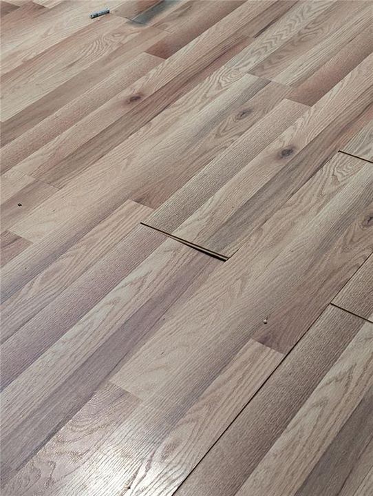 Active With Contract: $164,900 (5 beds, 3 baths, 2052 Square Feet)