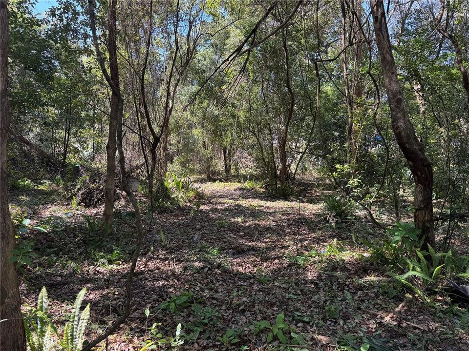 For Sale: $59,800 (0.32 acres)