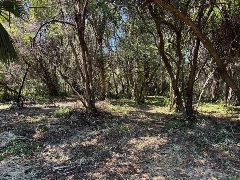 For Sale: $59,800 (0.32 acres)