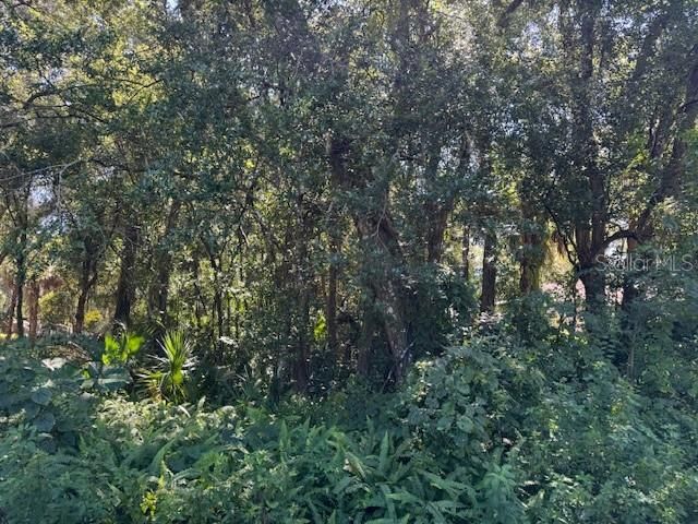 For Sale: $64,900 (0.32 acres)