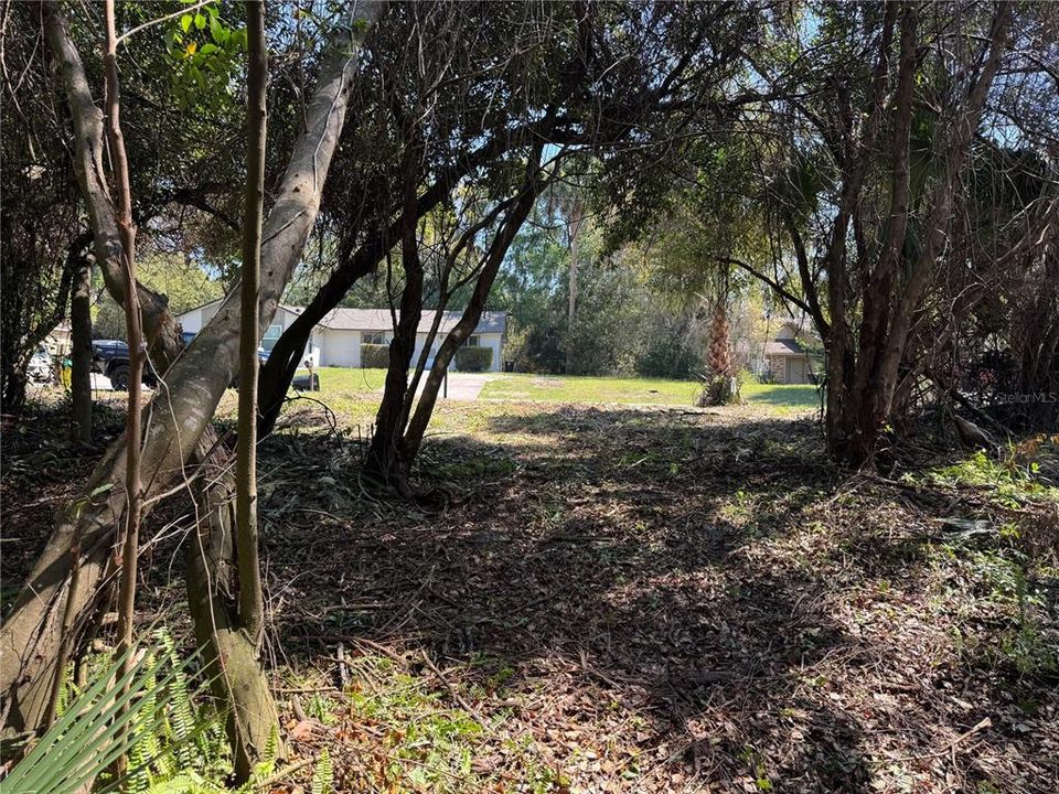 For Sale: $59,800 (0.32 acres)