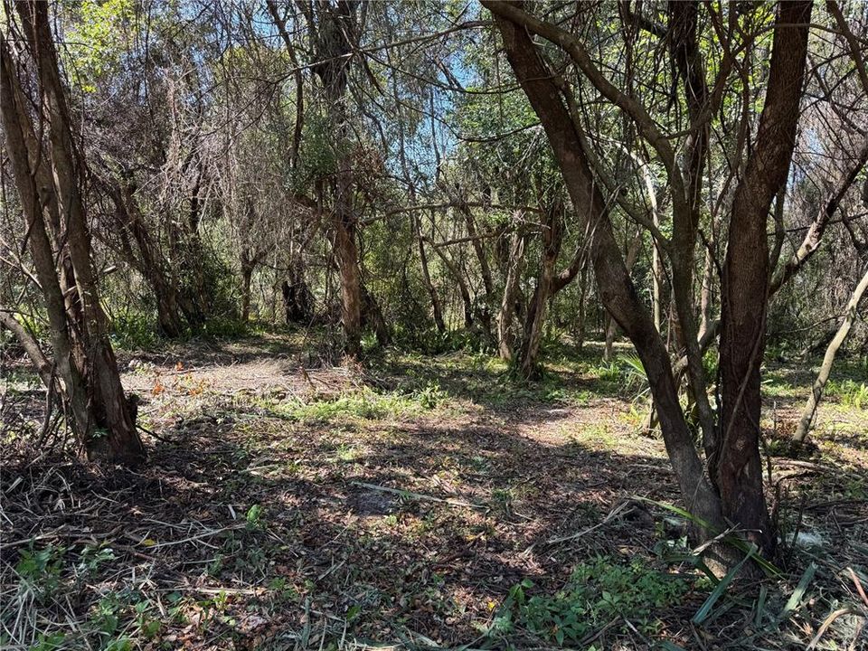 For Sale: $59,800 (0.32 acres)