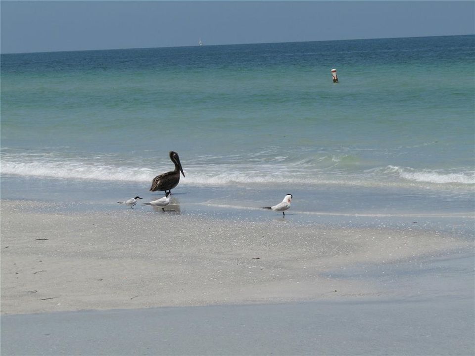 For Sale: $649,000 (2 beds, 2 baths, 1392 Square Feet)