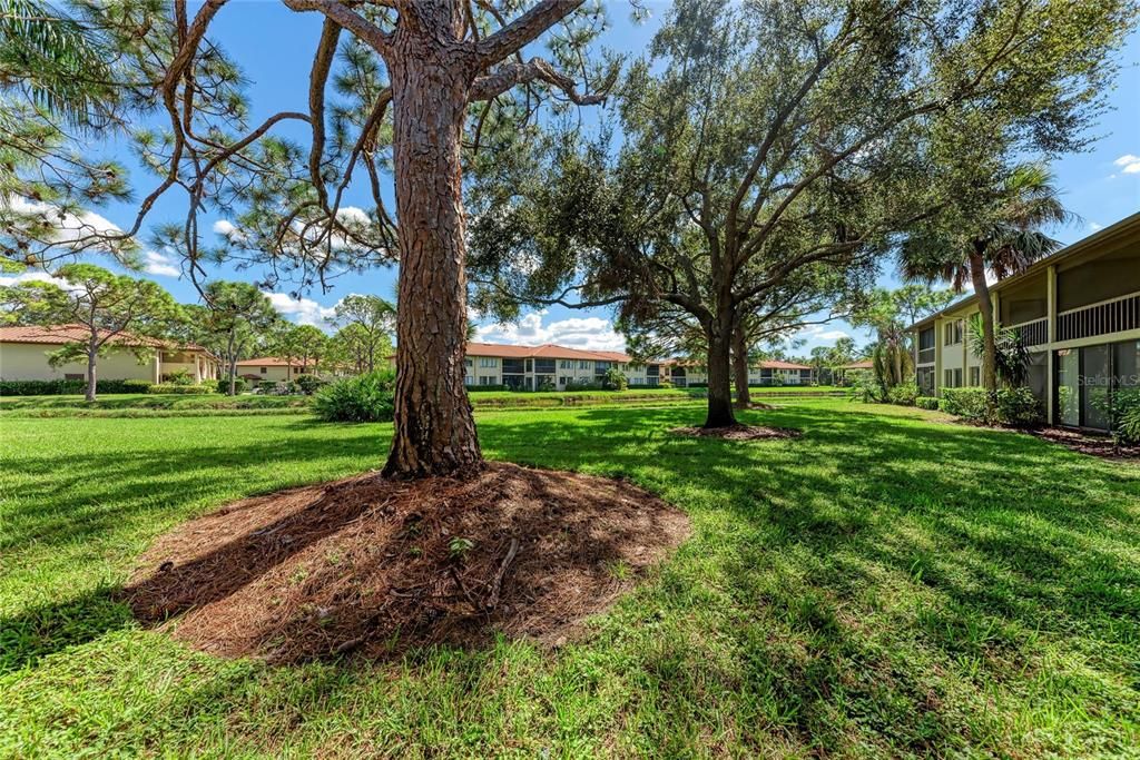 Active With Contract: $250,000 (2 beds, 2 baths, 1145 Square Feet)