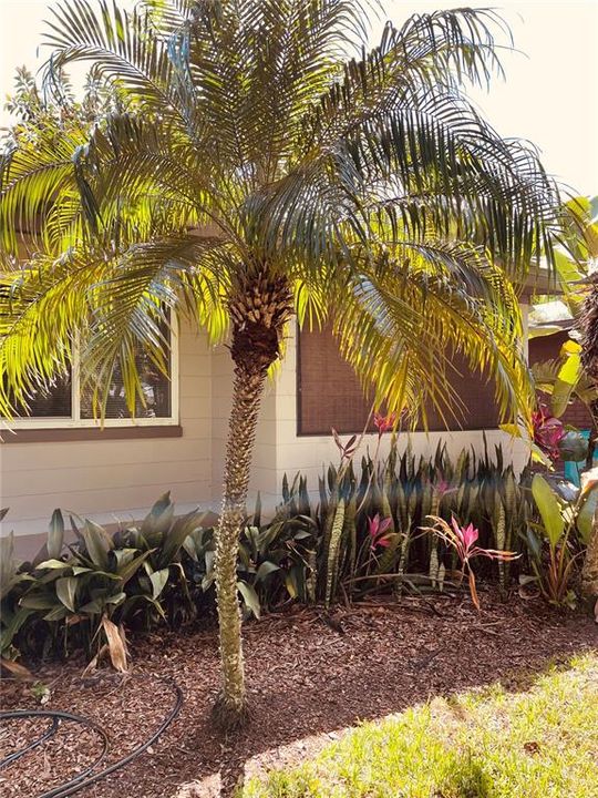 Activo con contrato: $449,000 (2 camas, 2 baños, 1424 Pies cuadrados)