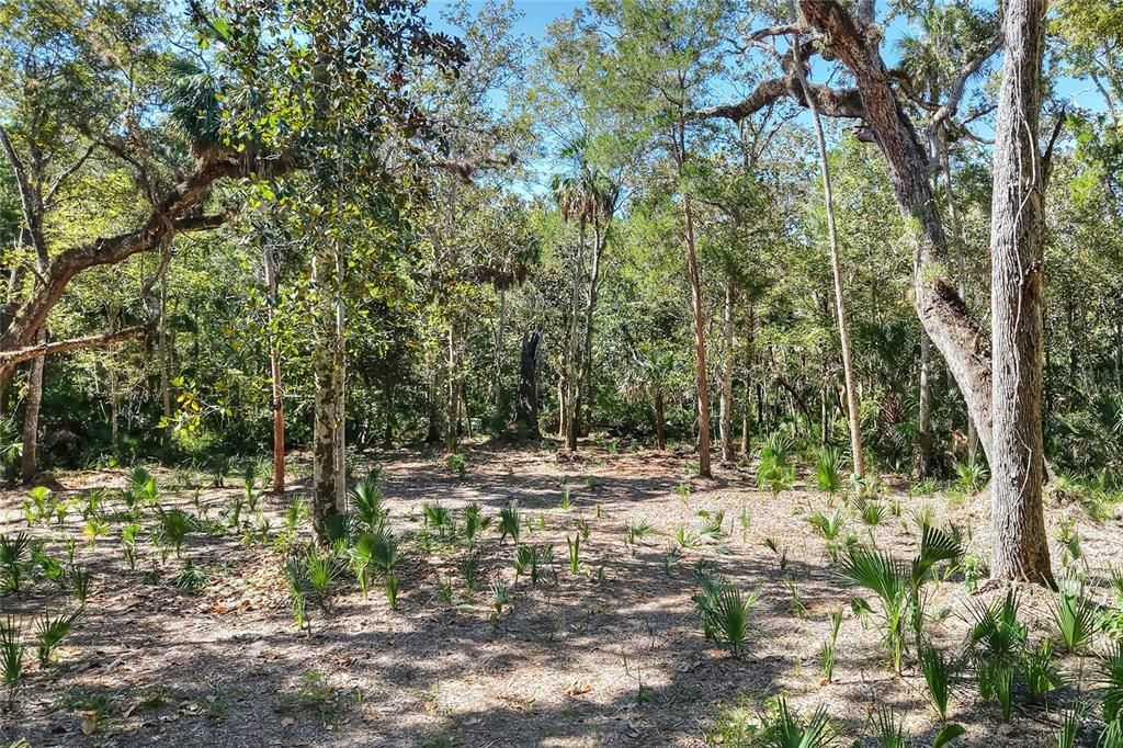 En Venta: $525,000 (40.20 acres)