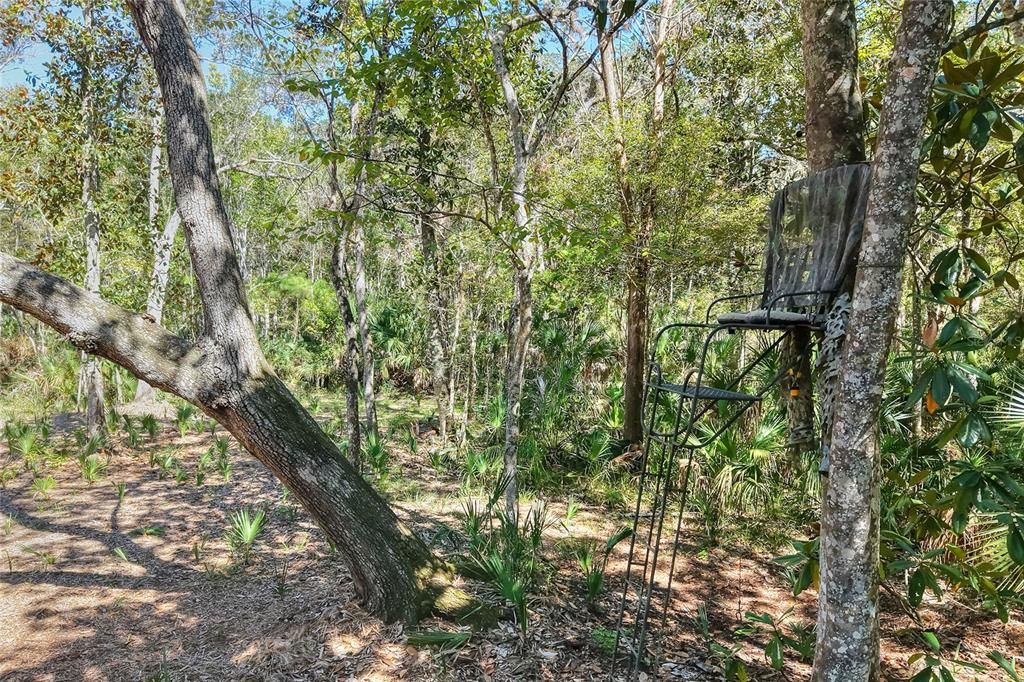 En Venta: $525,000 (40.20 acres)