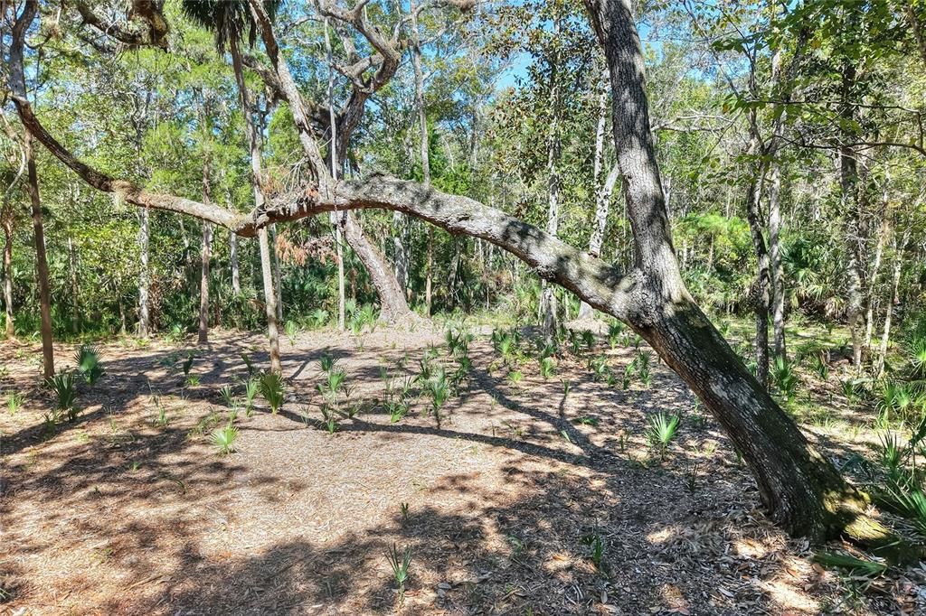 En Venta: $525,000 (40.20 acres)