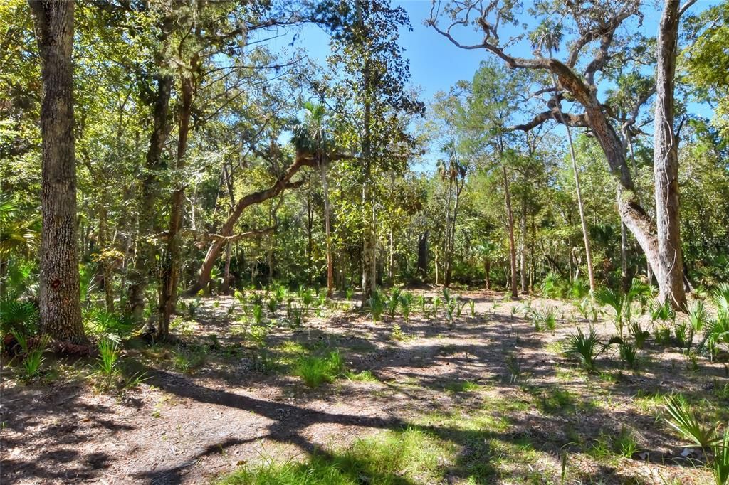 En Venta: $525,000 (40.20 acres)