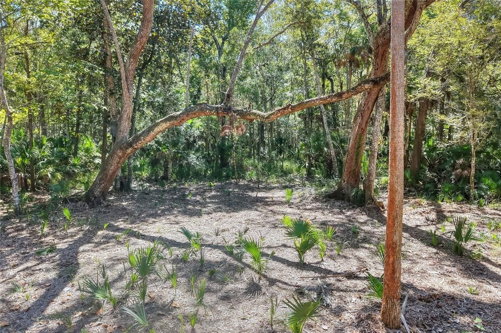 En Venta: $525,000 (40.20 acres)