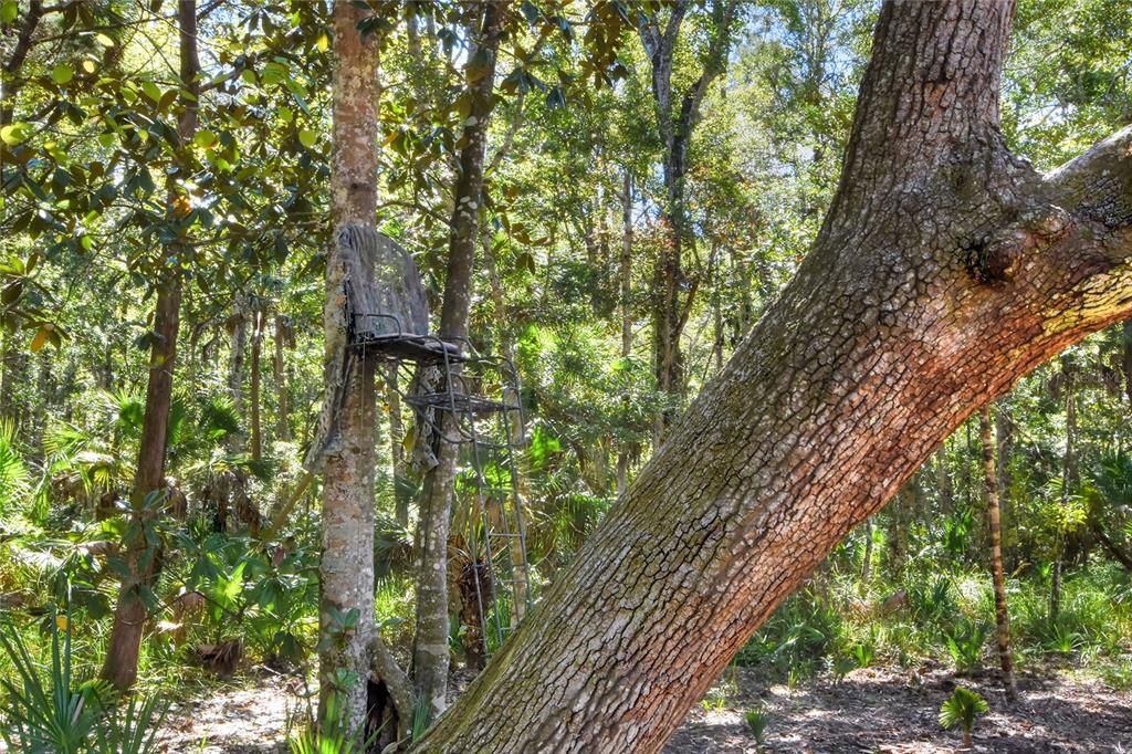 En Venta: $525,000 (40.20 acres)