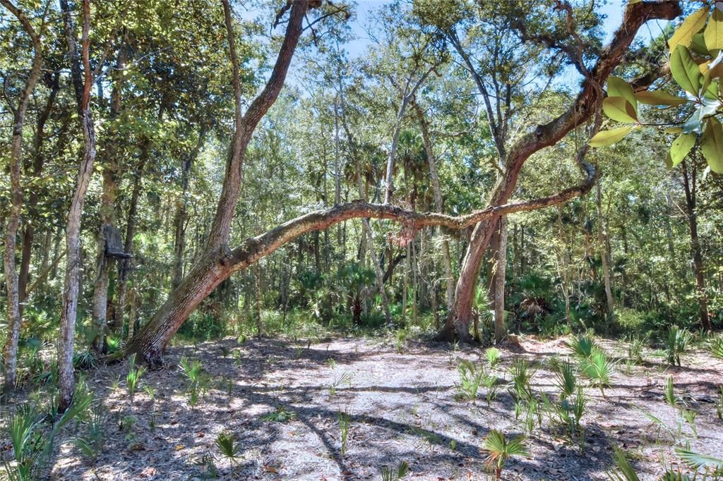 En Venta: $525,000 (40.20 acres)