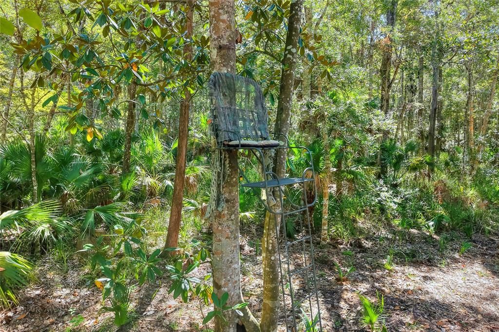 En Venta: $525,000 (40.20 acres)