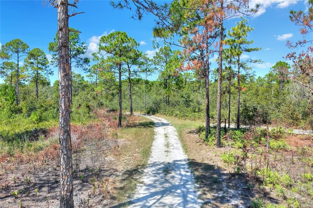 En Venta: $525,000 (40.20 acres)