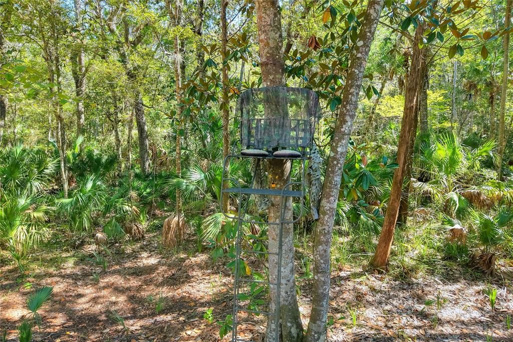 En Venta: $525,000 (40.20 acres)