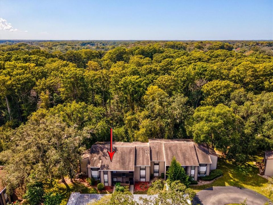 待售: $115,000 (3 贝兹, 2 浴室, 1239 平方英尺)