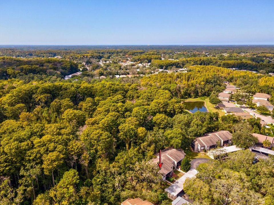 待售: $115,000 (3 贝兹, 2 浴室, 1239 平方英尺)