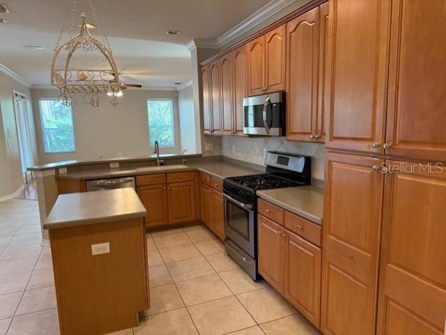 В аренду: $4,000 (5 спален, 4 ванн, 3360 Квадратных фут)