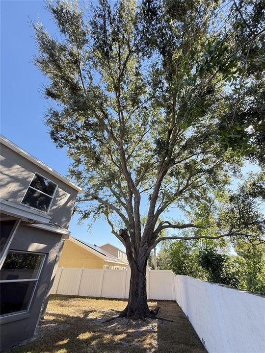 For Rent: $2,895 (6 beds, 3 baths, 2806 Square Feet)