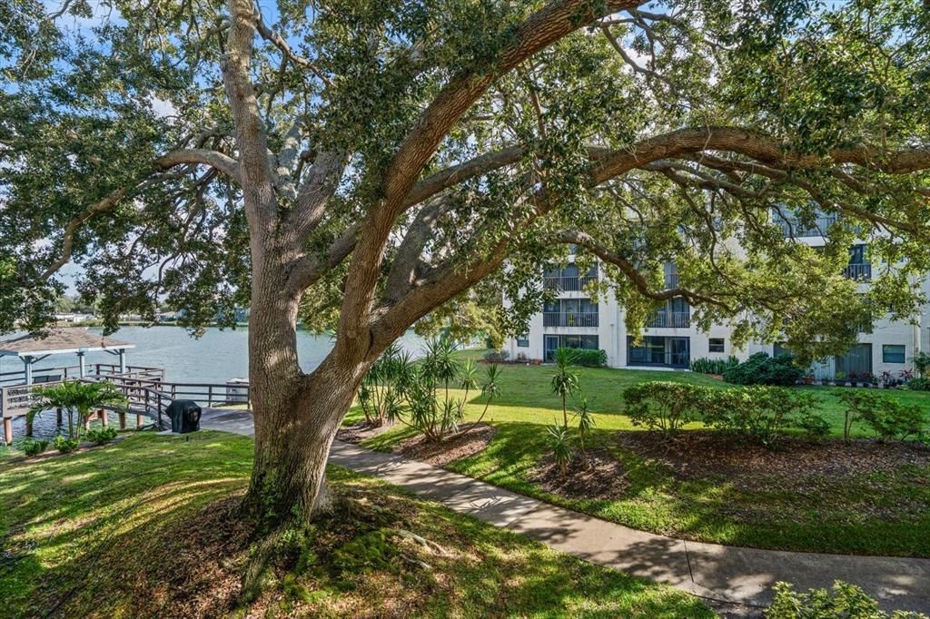 En Venta: $179,999 (2 camas, 1 baños, 840 Pies cuadrados)