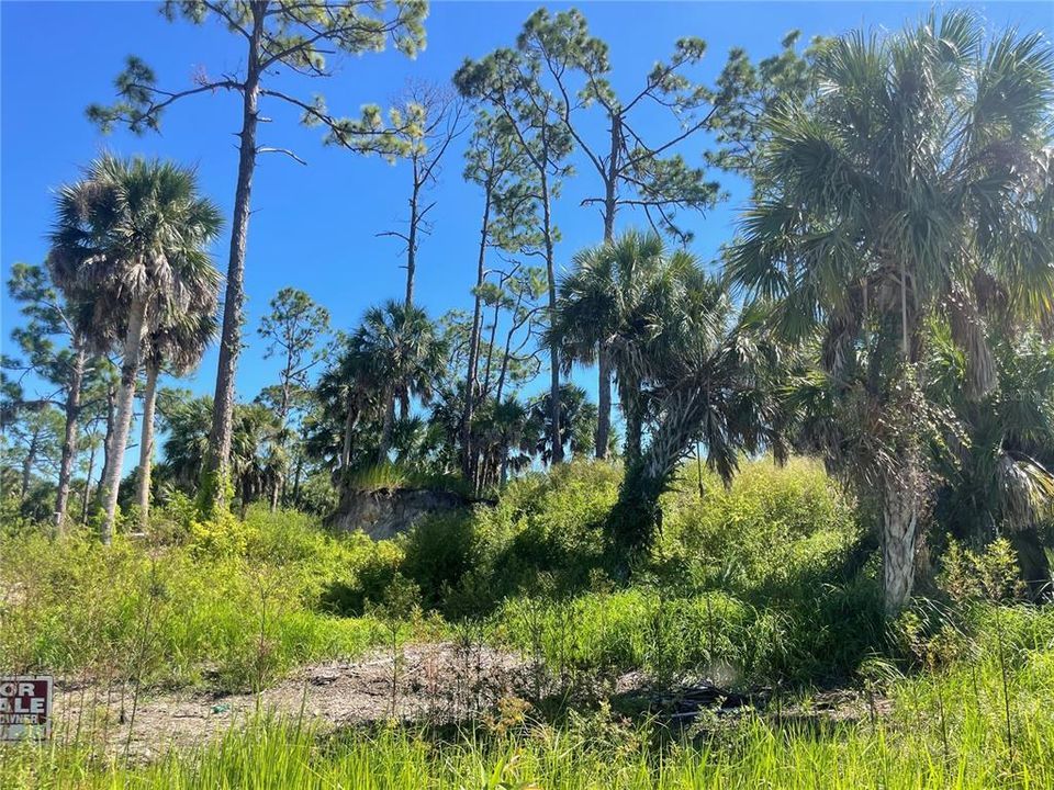 En Venta: $99,900 (0.23 acres)