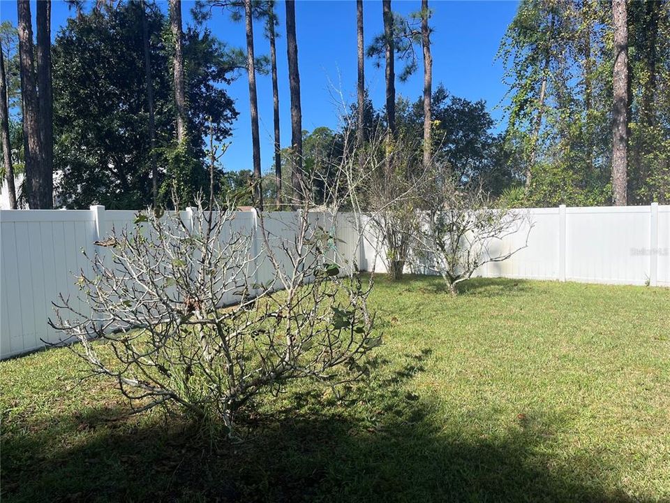 For Sale: $329,000 (3 beds, 2 baths, 1608 Square Feet)