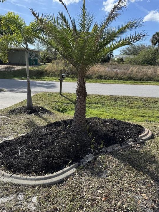 待售: $272,900 (3 贝兹, 2 浴室, 1406 平方英尺)