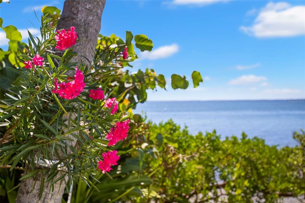 На продажу: $5,995,000 (5 спален, 5 ванн, 6147 Квадратных фут)