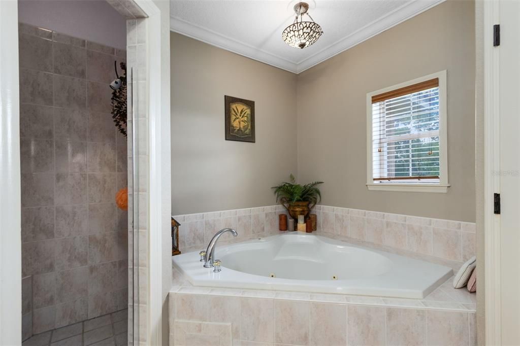 Active With Contract: $1,100,000 (4 beds, 5 baths, 6348 Square Feet)