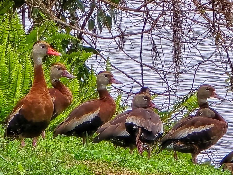 For Sale: $299,000 (2 beds, 2 baths, 1451 Square Feet)