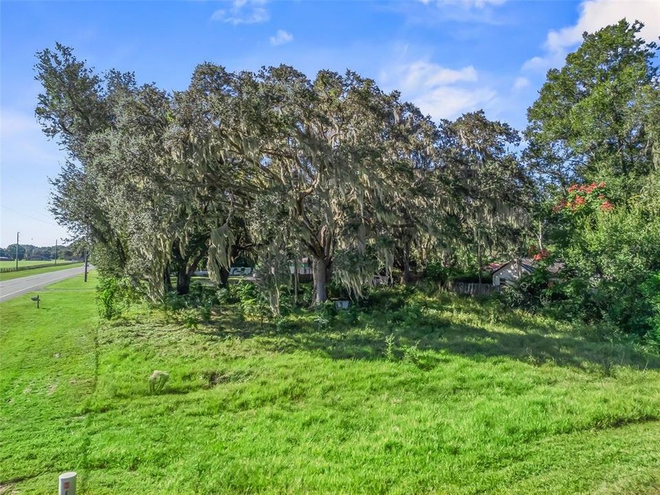 待售: $65,000 (0.59 acres)