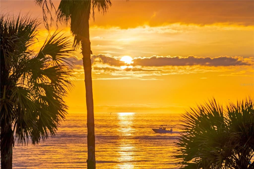 На продажу: $895,000 (2 спален, 2 ванн, 1019 Квадратных фут)