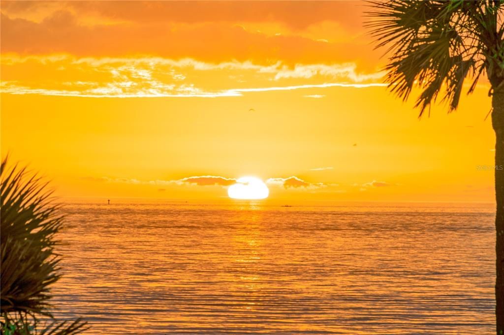 На продажу: $895,000 (2 спален, 2 ванн, 1019 Квадратных фут)