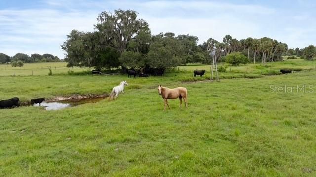 For Rent: $2,500 (3 beds, 3 baths, 1792 Square Feet)