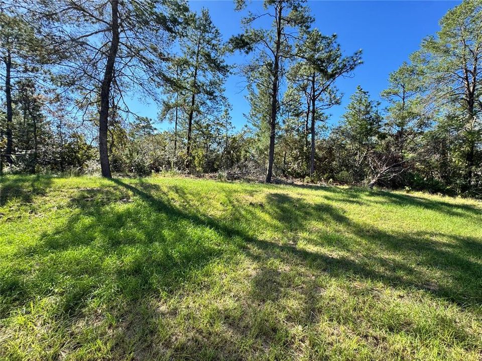 En Venta: $249,900 (4 camas, 2 baños, 1580 Pies cuadrados)