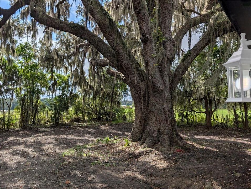 На продажу: $242,500 (2 спален, 2 ванн, 1403 Квадратных фут)