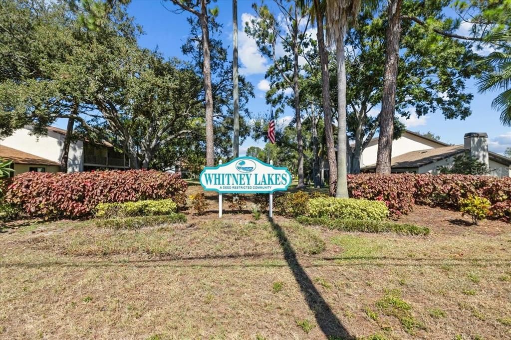 For Sale: $290,000 (2 beds, 2 baths, 1312 Square Feet)