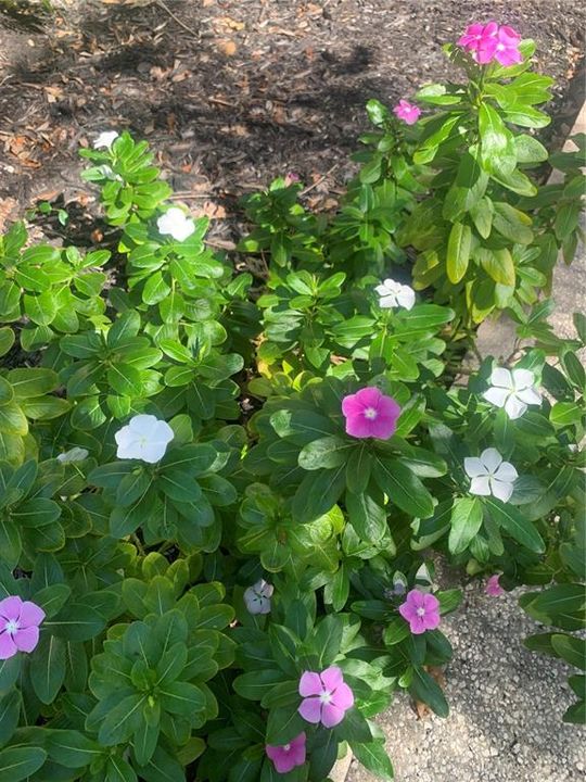 待售: $129,900 (2 贝兹, 2 浴室, 1044 平方英尺)