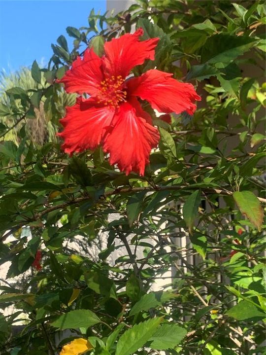 待售: $129,900 (2 贝兹, 2 浴室, 1044 平方英尺)