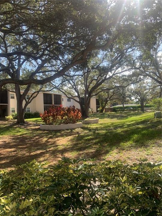 待售: $129,900 (2 贝兹, 2 浴室, 1044 平方英尺)