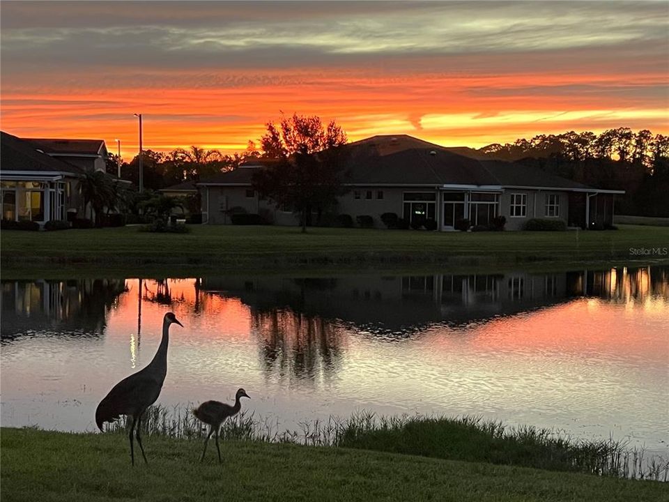 合同活跃: $374,900 (2 贝兹, 2 浴室, 1982 平方英尺)
